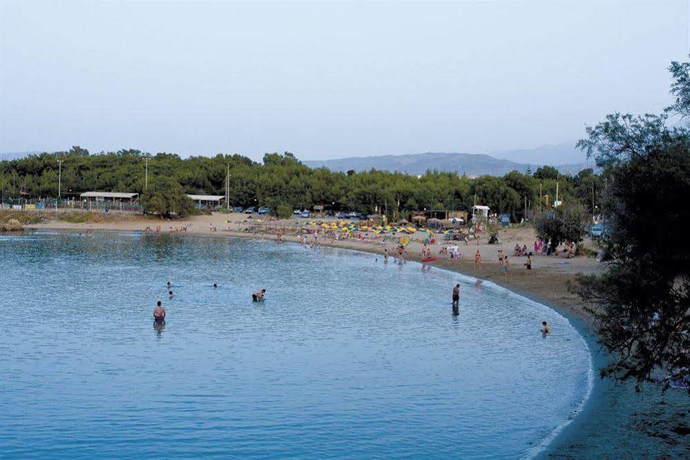 Athina Beach Hotel Kato Daratso Ngoại thất bức ảnh